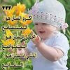 ra.fouad8