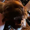 tjingeling__badring2