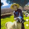 mohamed_z037