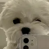 charaochia_0
