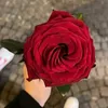 basma__333