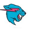 mr_beast.funpage