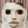 beans_nam