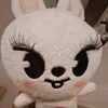 gatoconinternet3