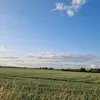 kurczak7363