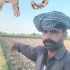 allhadata102