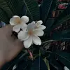 tuatanha6