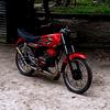 sedow_135cc