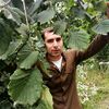 hamdi.sadan