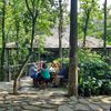 saung.grajen.sang