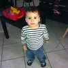 enzoo_lfrt