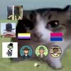 skygrr_and_cats1