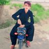ajmla.shas