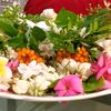 abdullah.m2858