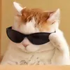 rasiya_luchaya