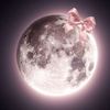 malek57301