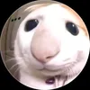 kaibito_vn