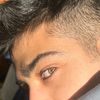 pooya_shf
