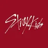 Stray kids fan