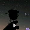 diya_govender14