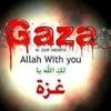 hassany649