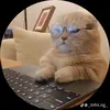 haidang.haidang7