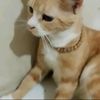 ariefwahyudi49