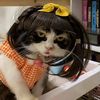jastipnya.sayang