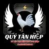 nguyenngocquy1101