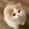_.nhyyyy