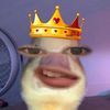 citizonk