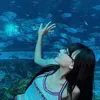 ._soiicodon_.0
