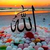 khhasaninaweed545gmail.c