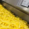 friturezwerts4