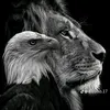 tatoos_zaxo