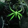 forestganja