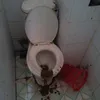 nguoivietgocda218