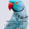 user1991046010668