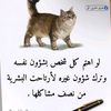 doaa.elsaid59