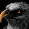 ahmedhan736