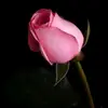 ibubilcilmil88