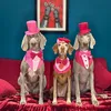hardiepuppingtons