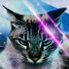 sarayu_meow