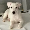 bellachacha5