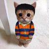ayaz06378