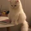 keko_s6