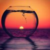 samer.alslama