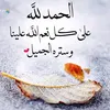sne8f