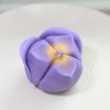 oshiriaiwagashi