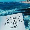medoelaraby28